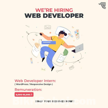 Web Developer Intern